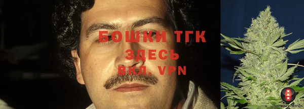 твердый Дмитровск