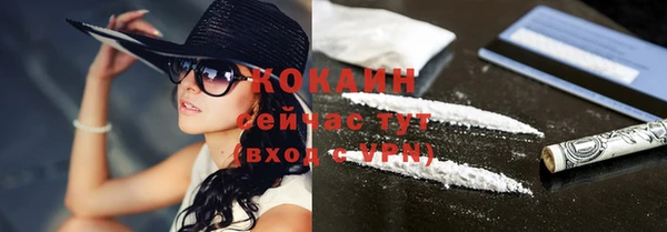 твердый Дмитровск