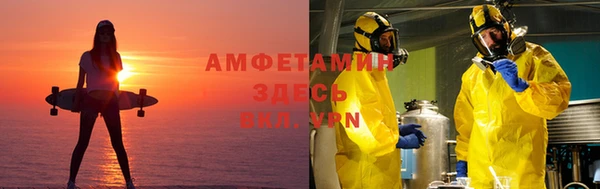 твердый Дмитровск