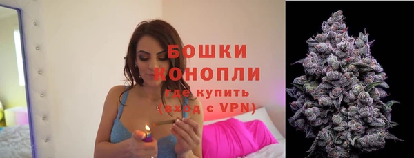 прущие крисы Дмитров