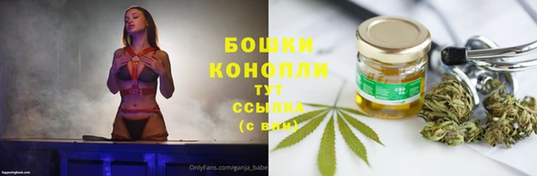 твердый Дмитровск