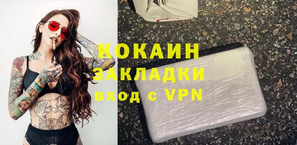 твердый Дмитровск