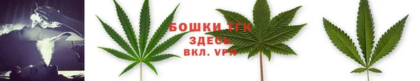 мдпв Дмитриев