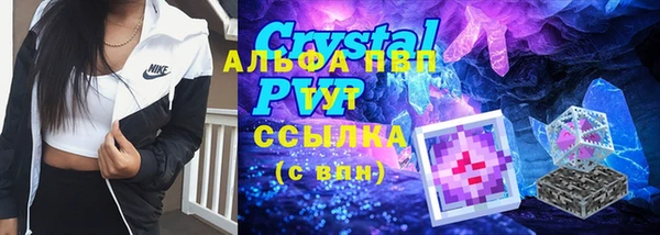 твердый Дмитровск