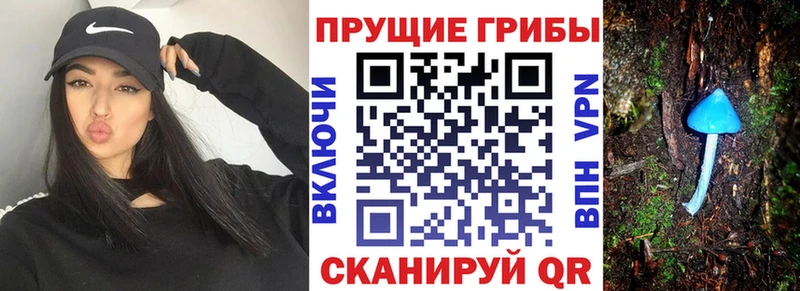 как найти закладки  Донской  гидра как зайти  Галлюциногенные грибы Magic Shrooms 
